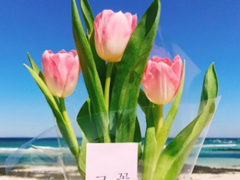 值得收藏的好詞好句適合發(fā)朋友圈 留下你很喜歡的一段話