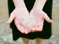 成熟有內(nèi)涵的心情說(shuō)說(shuō)大全 很多道理長(zhǎng)大后才能漸漸明白