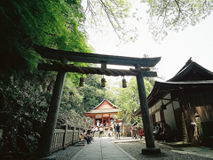 一個(gè)人無聊的碎碎念心情說說 不知道發(fā)什么時(shí)發(fā)的文藝說說