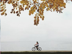 最新元旦個(gè)性說說2019要加油 拼搏道路上經(jīng)典的話語