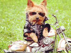 女人不花心，又怎么對得起貌美如花