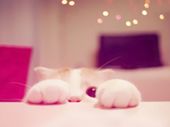 萌萌噠的可愛說(shuō)說(shuō) 惹人喜歡必評(píng)的可愛說(shuō)說(shuō)精選