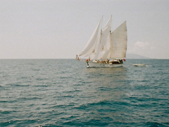 微信說說和愛情有關(guān)的句子 一句話詮釋愛情的經(jīng)典說說