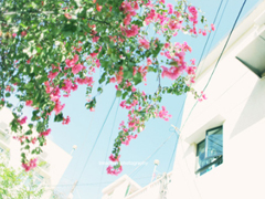 最近很火的一些女生經(jīng)典說說 送給女孩子的28句話有道理