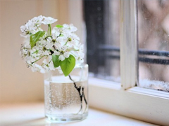 最能讓對方感動的話很窩心 可愛呆萌的溫暖小情話