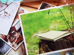 2019迎接三月份的說說陽(yáng)光勵(lì)志 三月第一天發(fā)朋友圈的說說