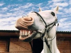 QQ搞笑說(shuō)說(shuō)段子：今晚，我托一只蚊子去找你，讓它替我親親你