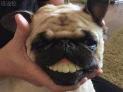 空間爆笑說(shuō)說(shuō)：謝謝那些曾經(jīng)擊倒我的人，躺著真的很舒服