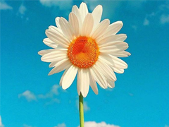 對(duì)愛情徹底死心的傷感說說2018 一句話讓人瞬間落淚的愛情說說