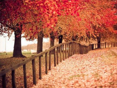 簡單一句話愛情說說心情短語 2019發(fā)朋友圈的經(jīng)典愛情說說