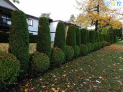 快手熱門搞笑段子，快手搞笑說說大全