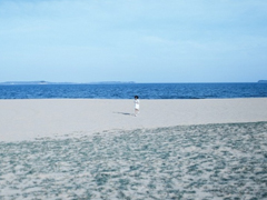 空間置頂說說很現(xiàn)實(shí)的話2019最新版 遇見了一個人才迎來最好的年華