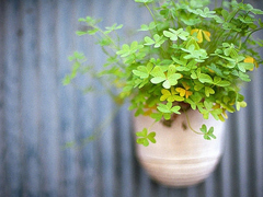 關于愛情的有些傷感但卻很有道理的唯美文藝說說