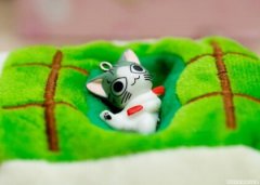 關(guān)于秋褲的搞笑句子，忘穿秋褲的搞笑段子