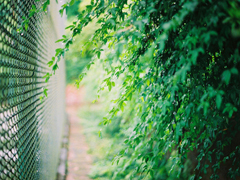 愛情中的孤獨(dú)寂寞說說 每個人都曾在愛情中流淚的傷感說說