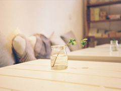 關(guān)于愛情的經(jīng)典說說 有些愛只能止于唇齒掩于歲月