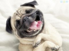 搞笑說說別人必贊：你現(xiàn)在補(bǔ)作業(yè)流的眼淚，是你浪的時(shí)候進(jìn)的水