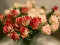 15條愛情說說我的心里話 愛情中最真實的感受說說配圖