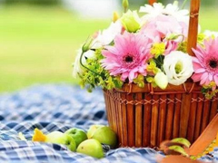 2019關于春分的微信說說帶圖片 春分節(jié)氣早安祝福語