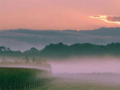 簡短的帶唯美的說活帶圖片 簡單一句話說說表達心中的情感