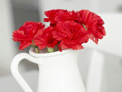 2019婦女節(jié)朋友圈說說大全配圖 溫馨浪漫的38婦女節(jié)說說帶圖片