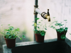 2019最流行的情侶表白說說配圖 文藝范暖心情話帶圖片