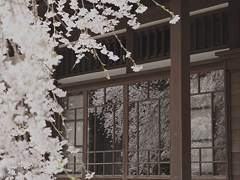 14條很美很好聽的文藝唯美說說帶圖片 森系文藝范古風說說