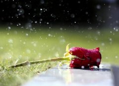 QQ空間說說圖片：明知道我是你的將就，卻還是把你當(dāng)做我的所有