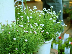 致自己的人生經(jīng)典說說帶圖片 最新朋友圈經(jīng)典說說人生哲言