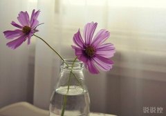 好看的空間說說帶圖片：日久不但能生情，還能生孩子