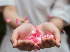 關(guān)于青春成長(zhǎng)的美到極致的唯美句子帶圖片