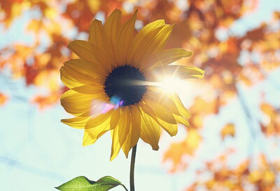 堅強(qiáng)的說說帶圖片：沒有傘的孩子，必須努力奔跑！