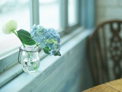 唯美文藝說說帶圖片 想做一個(gè)長(zhǎng)長(zhǎng)的夢(mèng)回到十九歲那年