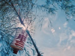 文字控偏愛(ài)的文藝小清新簡(jiǎn)單的唯美句子帶圖片