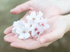 唯美簡單的英文說說帶圖片 世人萬千種浮云莫去求