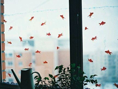 關于青春成長的哲理雖然簡單一句話但是很有道理的說說帶圖片