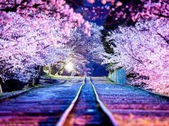 傷感說(shuō)說(shuō)帶圖片：我曾路過(guò)你的心，不是我不想停留而是你不肯收留