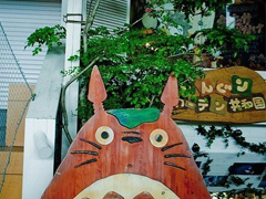 經(jīng)典唯美文藝小清新說說帶圖片 這人世間本就是寒來暑往日出日落