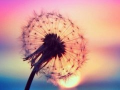 心情說說帶圖片：有一個(gè)人，讓你曾經(jīng)發(fā)了瘋的想，如今拼了命的忘