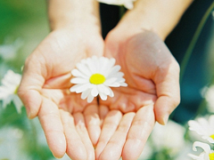 優(yōu)美說說唯美的句子配圖：海底月是天上月，只是鏡花水月