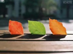 QQ空間唯美說(shuō)說(shuō)帶圖片