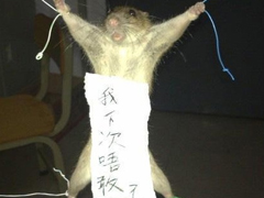 笑死人的說說帶圖片帶文字 逛街時的你和你的朋友