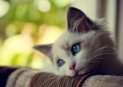 朋友圈搞笑說(shuō)說(shuō)配圖：老師，你看上哪個(gè)家長(zhǎng)就直說(shuō)，別老開(kāi)家長(zhǎng)會(huì)