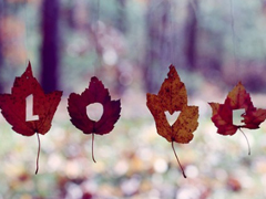 女生治愈系說(shuō)說(shuō)簡(jiǎn)短好聽(tīng)?zhēng)D片 可以幫你療傷的愛(ài)情說(shuō)說(shuō)