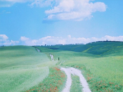 很真實幸福的愛情說說帶圖片 向另一伴告白的浪漫愛情說說