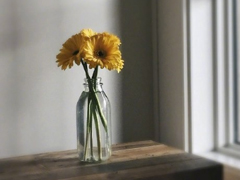 很扎心但很有道理的勵(lì)志說說帶圖片 激勵(lì)人心的很現(xiàn)實(shí)的一句話說說