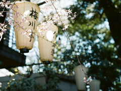 文字控最愛(ài)唯美詩(shī)意的圖片句子 所有的記憶都是潮濕的