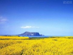 2018經(jīng)典句子帶圖片，經(jīng)典句子配圖