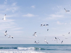 2018最勵(lì)志的關(guān)于青春和成長(zhǎng)的圖片說(shuō)說(shuō) 有夢(mèng)想就能看到未來(lái)