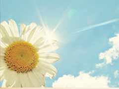 關(guān)于讀書(shū)閱讀的哲理精辟有道理的說(shuō)說(shuō)帶圖片